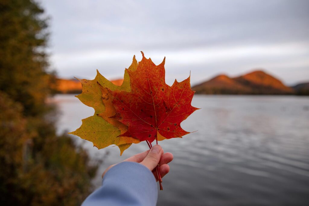 10-Facts-about-Canada