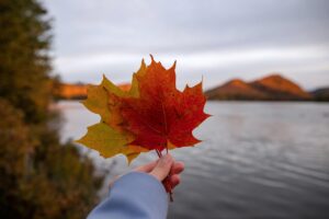 10-Facts-about-Canada