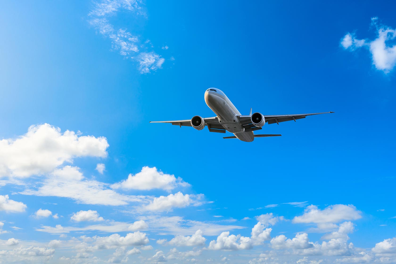 Employee-Relocation-International-Moves